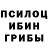 Псилоцибиновые грибы прущие грибы Nar Official