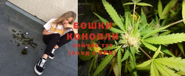 гидра Уссурийск